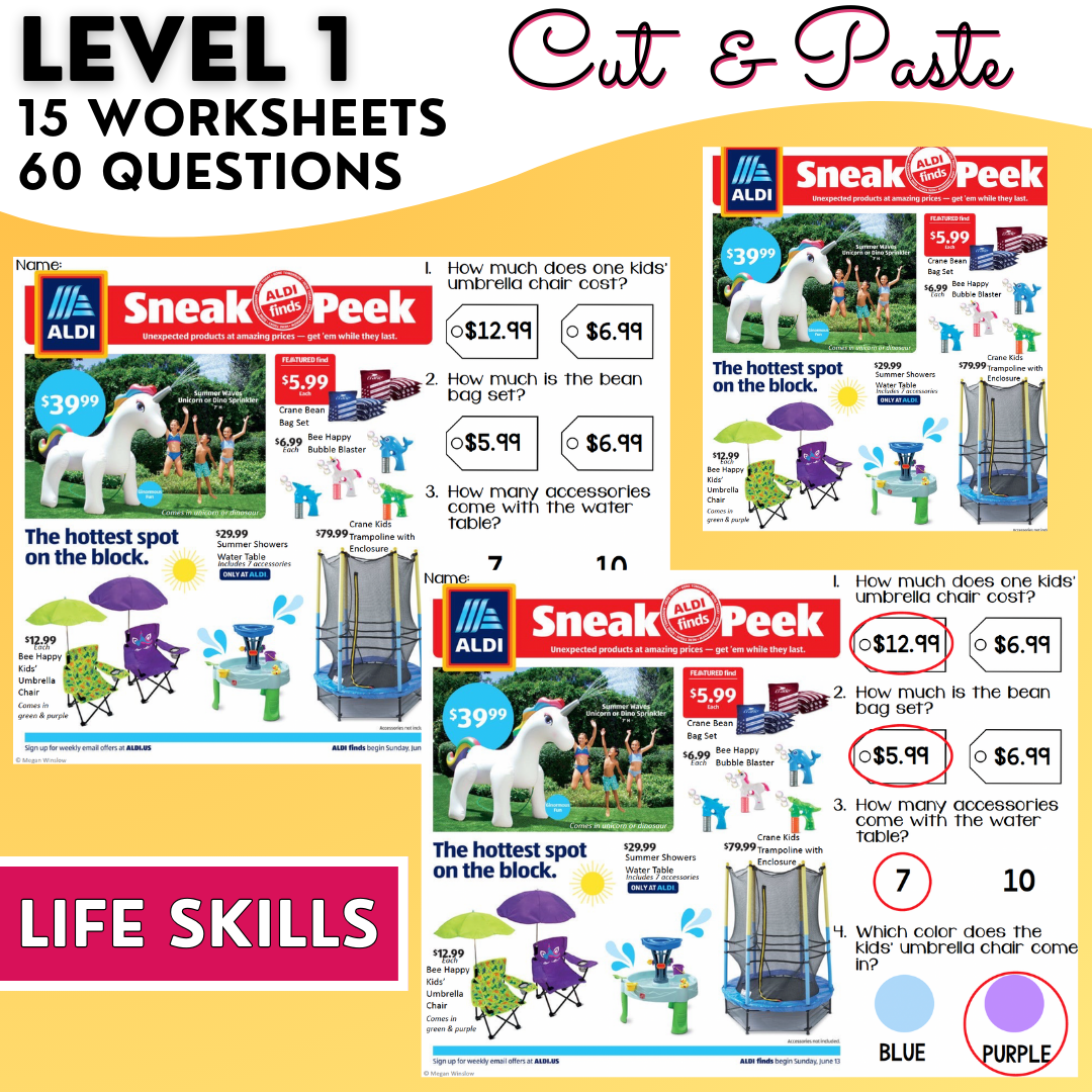 Summer Advertisements - Reading Store Flyers - Functional Text - EYP & ESY