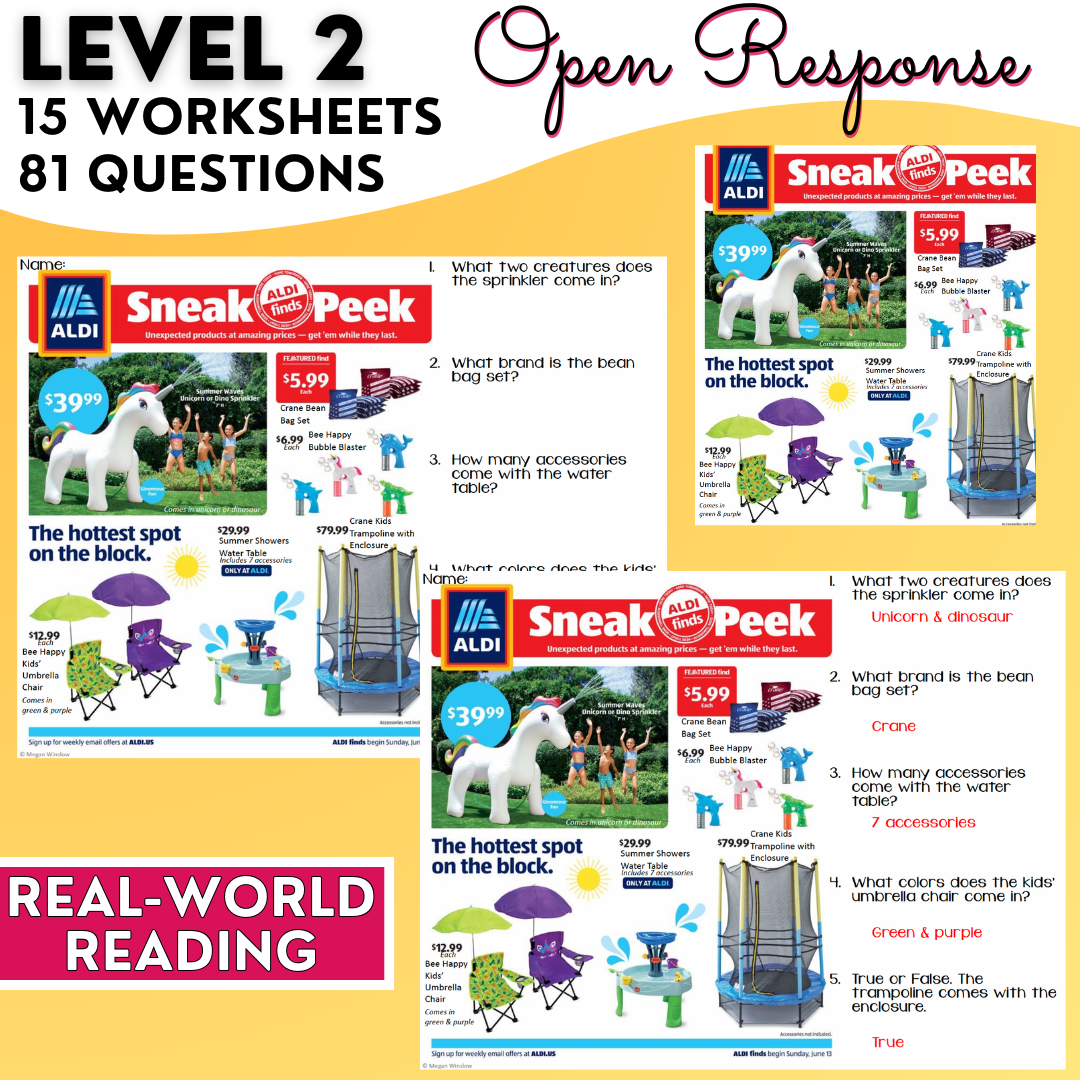 Summer Advertisements - Reading Store Flyers - Functional Text - EYP & ESY